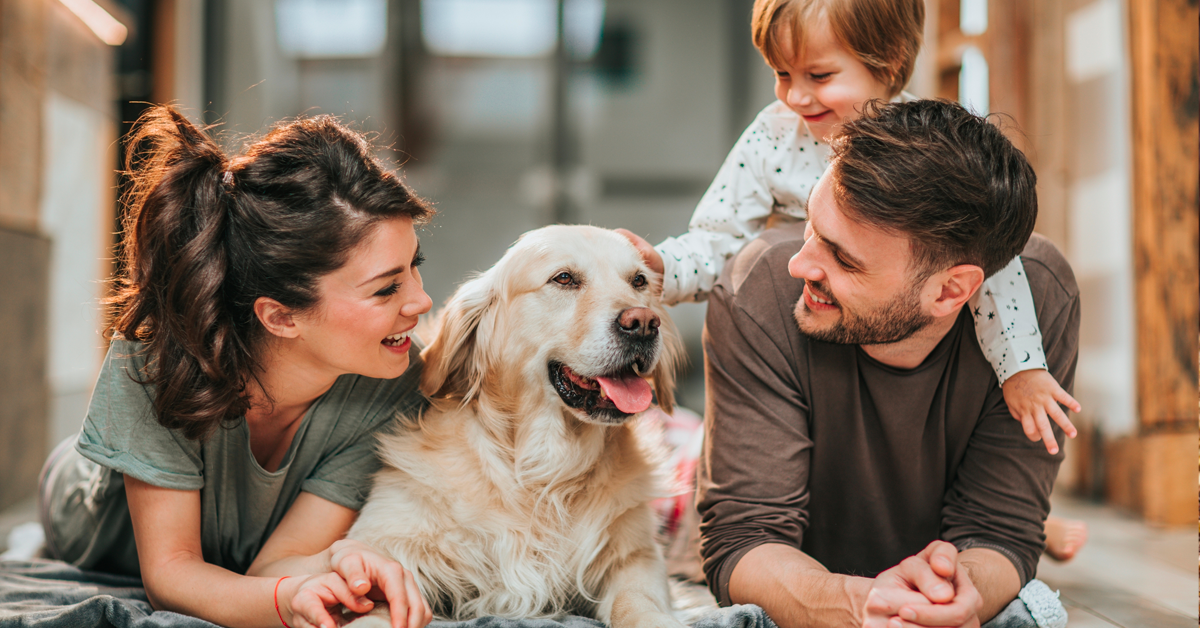 🐾 Top 5 Benefits of Feeding Your Pet Healthy Gourmet Food