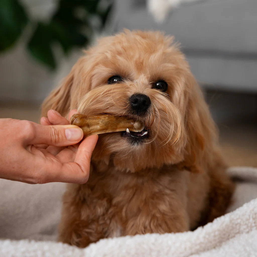 petgourmetfood treats for your pet