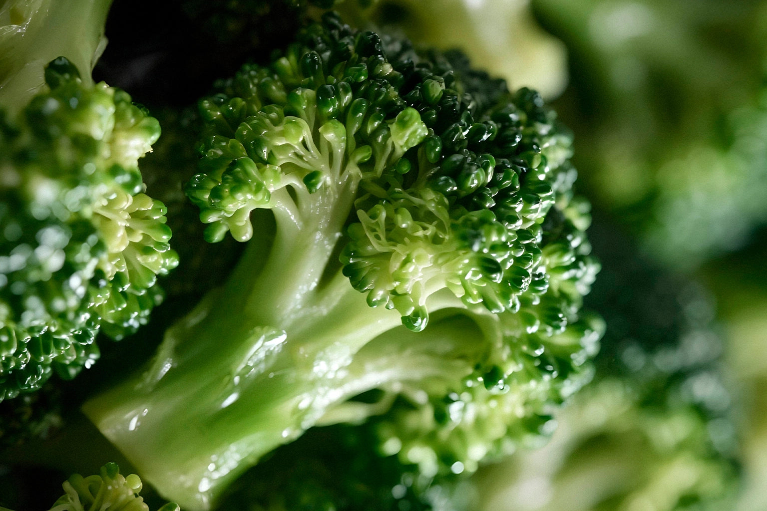 Close-up of fresh green broccoli florets