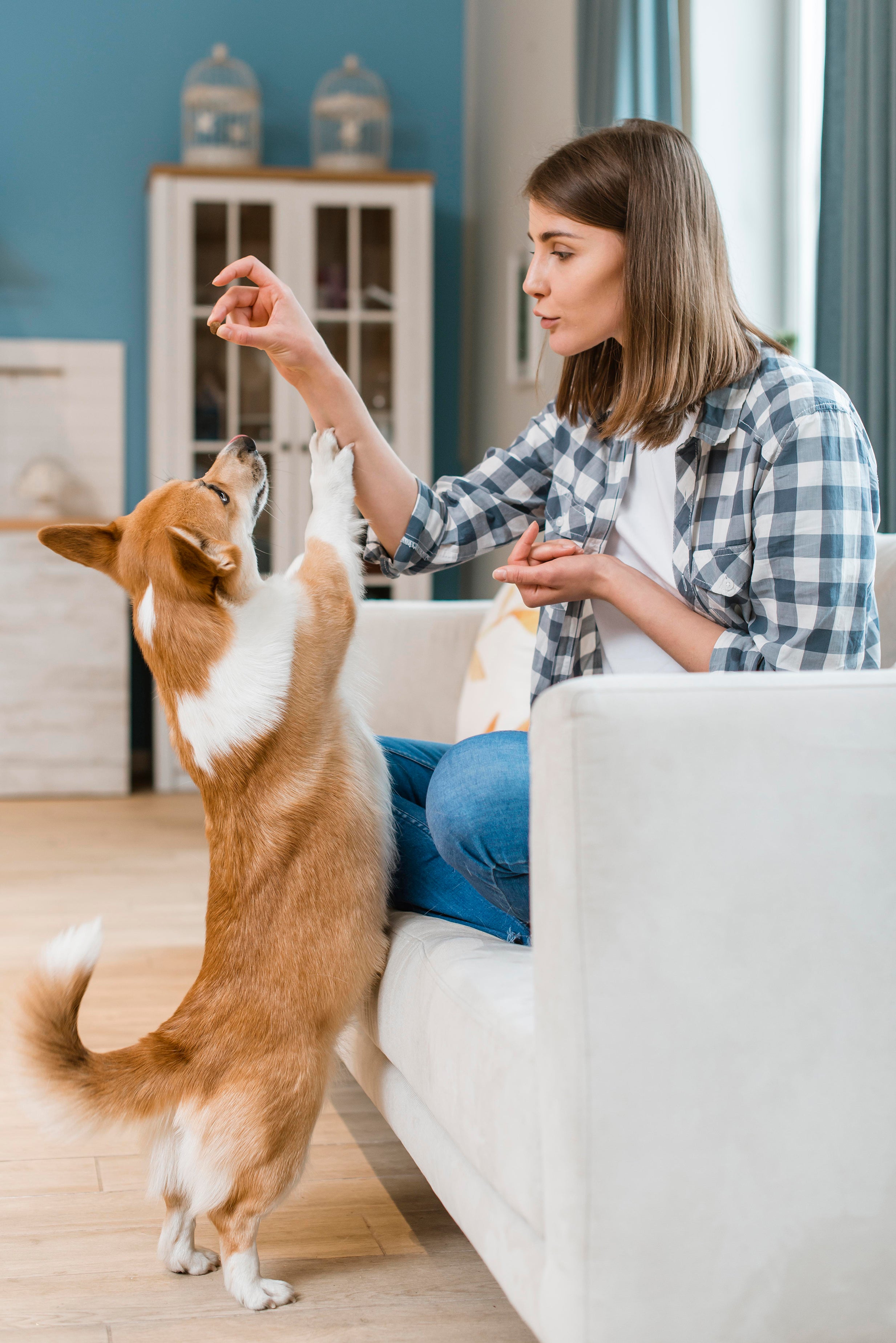 Woman sitting on a couch with a corgi dog in a living room.