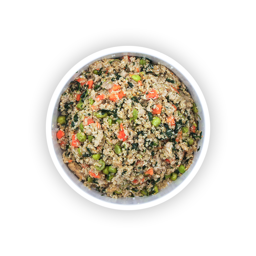 Turkey & Quinoa
